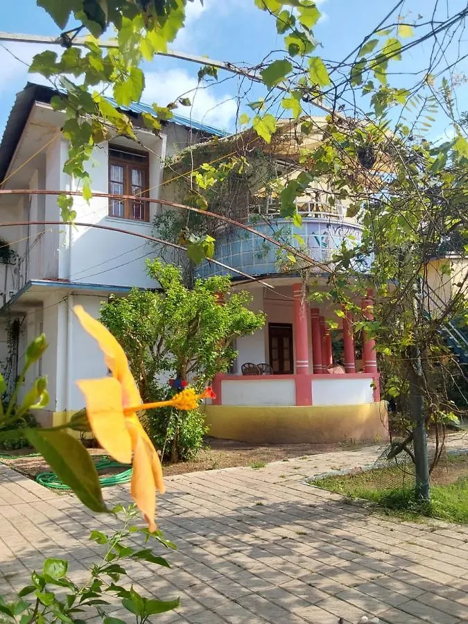 Johnson'S Homestay With Pool & Ecohouseboat Alappuzha