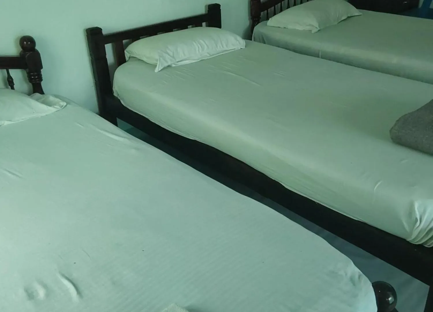 Johnson'S Homestay With Pool & Ecohouseboat Alappuzha